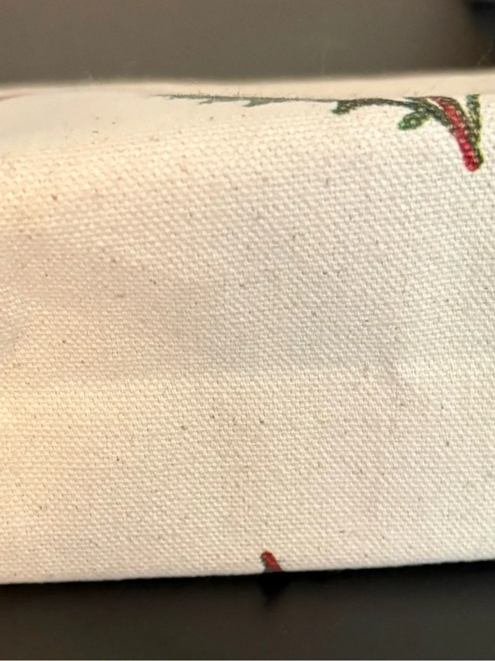 Cavallini and company botanical vintage pouch